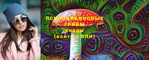 ГАЛЛЮЦИНОГЕННЫЕ ГРИБЫ Балахна