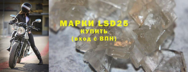 ГАЛЛЮЦИНОГЕННЫЕ ГРИБЫ Балахна