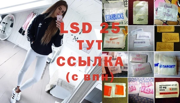 ГАЛЛЮЦИНОГЕННЫЕ ГРИБЫ Балахна