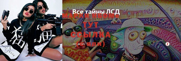 мет Елабуга